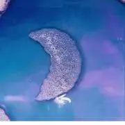 りりの画像
