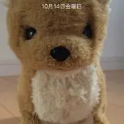 えり