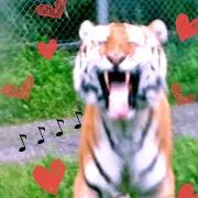 ゜+.゜★Milky Way☆゜。+゜
