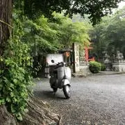 紫ずきんの画像