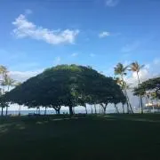 ポノポノ