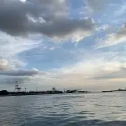 まーりの画像