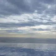 まつゆうの画像