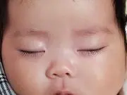 にゃんこ  (旧はにゃです)の画像