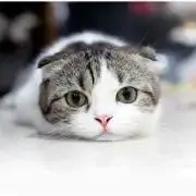 もす