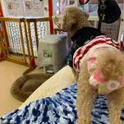 あーたろ