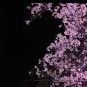 まりおの画像