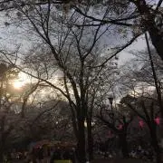 まるまるの画像