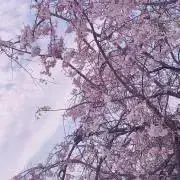 みなの画像