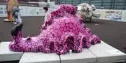 山かもめの画像