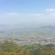 小僧の画像