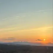 だいの画像