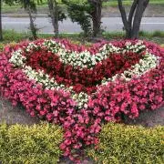 あんにんの画像