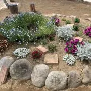 つくし⭐︎の画像