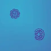 みの画像