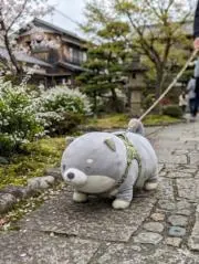 ネコ