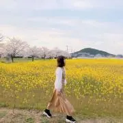 まゆ