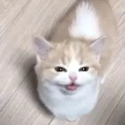 あの画像