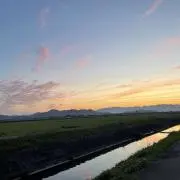 はちみつの画像