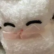 きのこの帽子の画像
