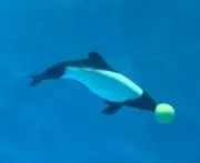 じゅんの画像