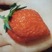 うみうみの画像