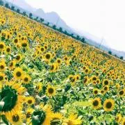 kaa♡mama プロフ必読