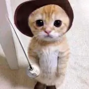 もちの画像