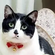 ヒロ