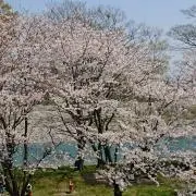 らら ✿フォロー割ありの画像