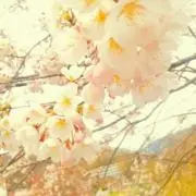 あーたんママ