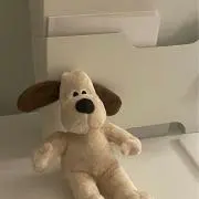 annの画像