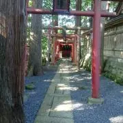 ムカの画像