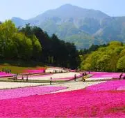 田中の画像