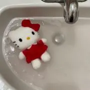 ちょこの画像
