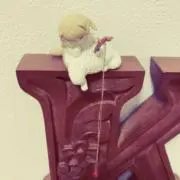 &&&youの画像