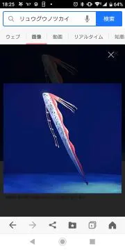 はこまこ☆プロフ必読！！！の画像