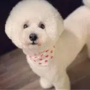 ぽの画像