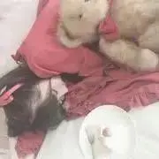 ゆゆの画像