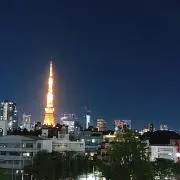 かえるの画像
