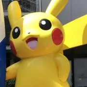 ポケモン好きの画像