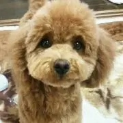 ☆maro☆ (プロフ必読)
