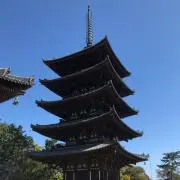 シカ
