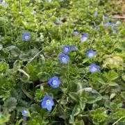 にこ