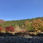 ykmm0901