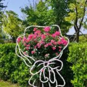 mari即購入OK⭕️の画像