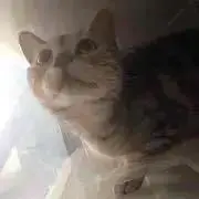 ぽんかん＊発送基本週末