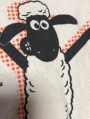ショーンの画像