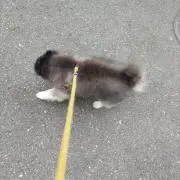 かたつむりの画像