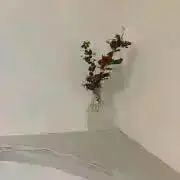 つきとほしの画像